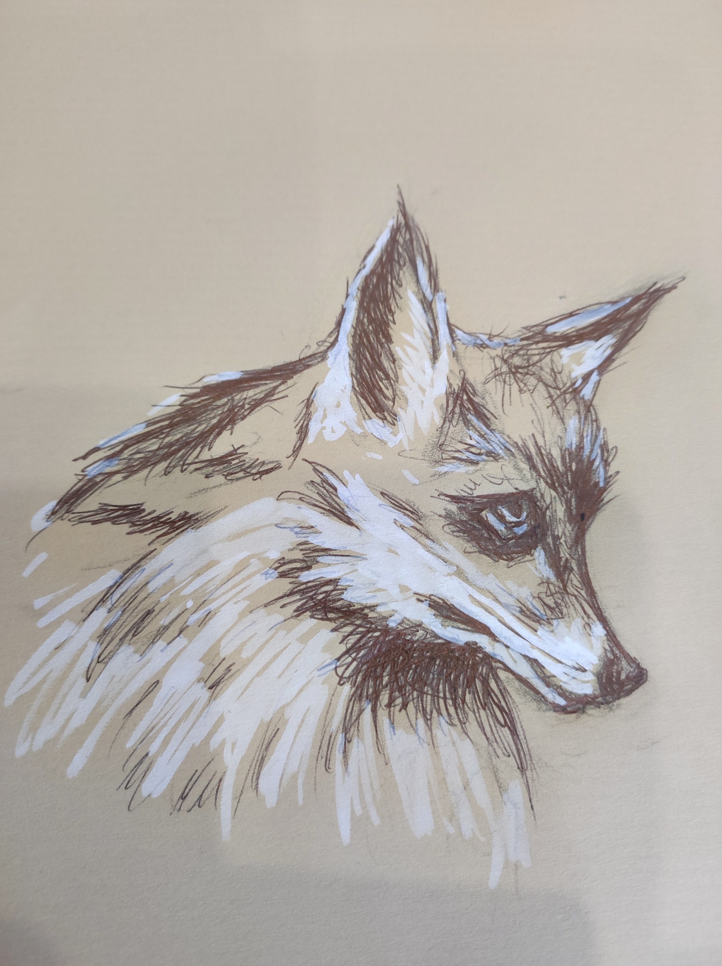 Renardeau — stylo a bille et feutre acrylique , œuvre originale de Virginie Jousse